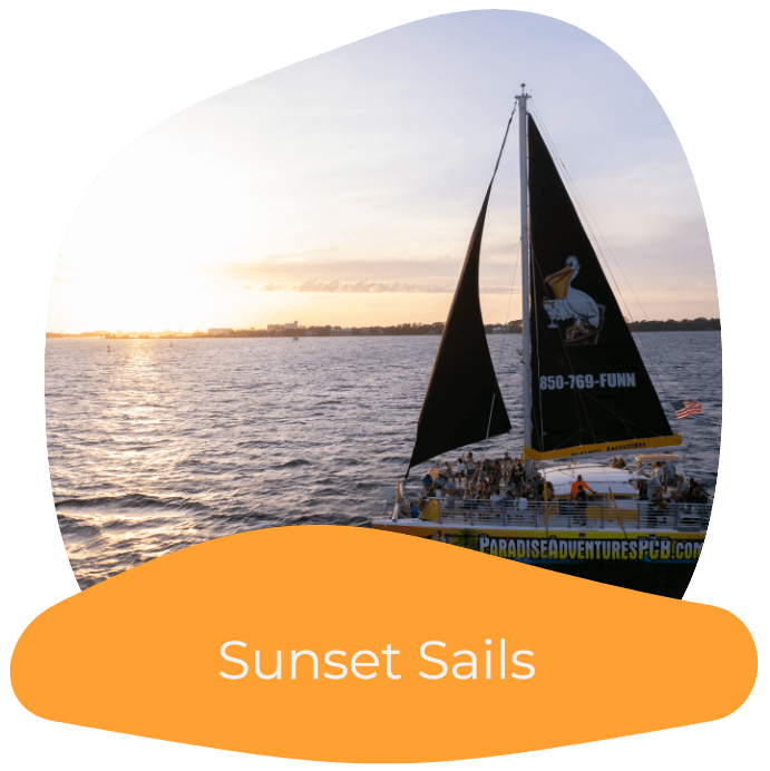 Paradise Adventures Catamaran - "Untouched, Unmatched, Unforgettable"