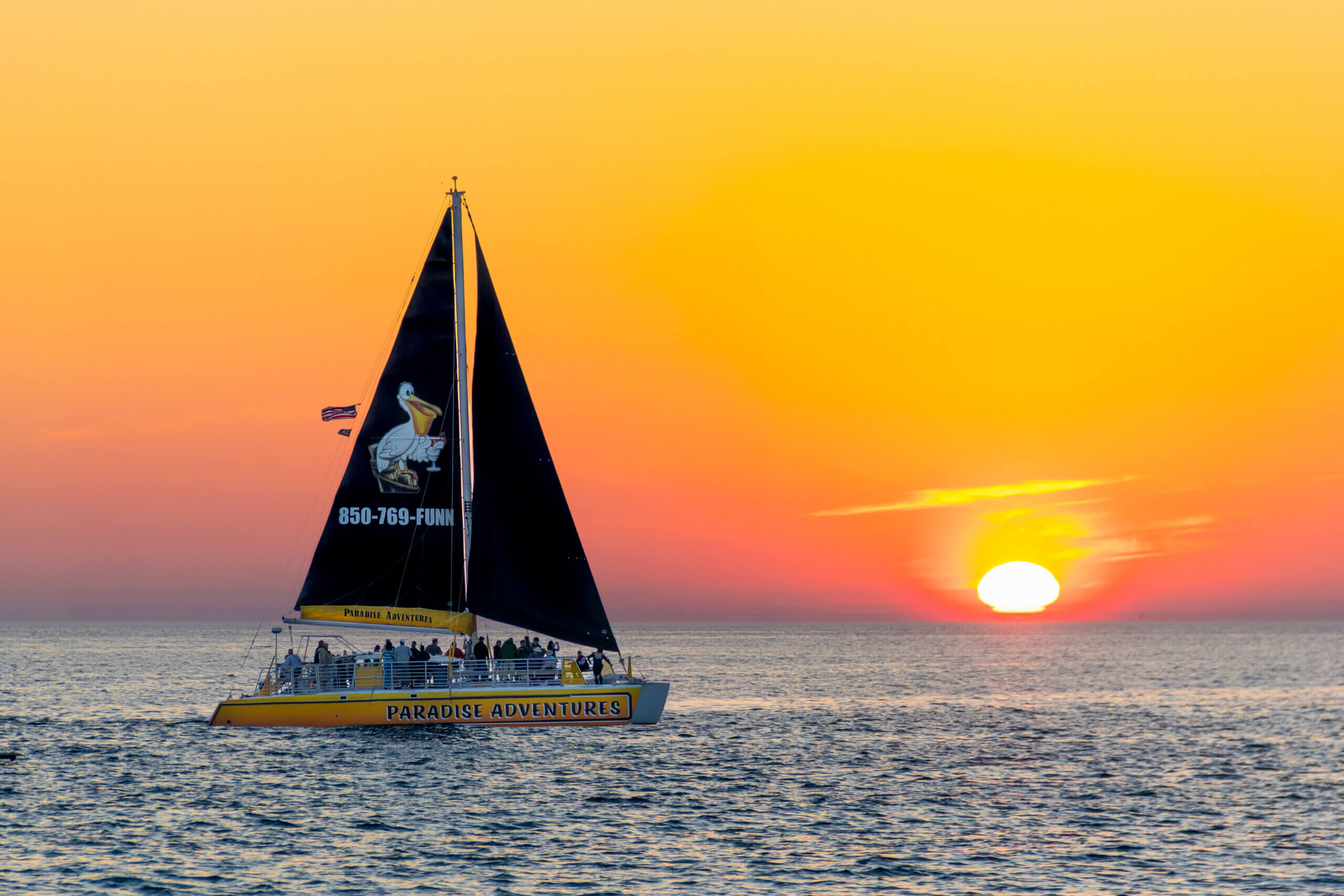 catamaran-card