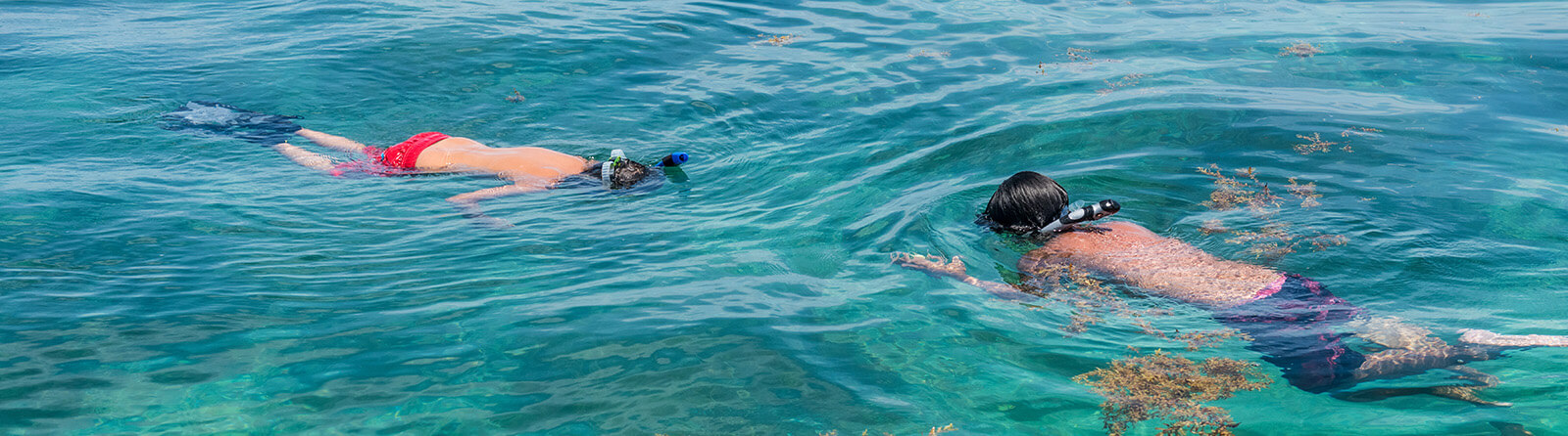 Two young boys snorkel near Shell Island, FL