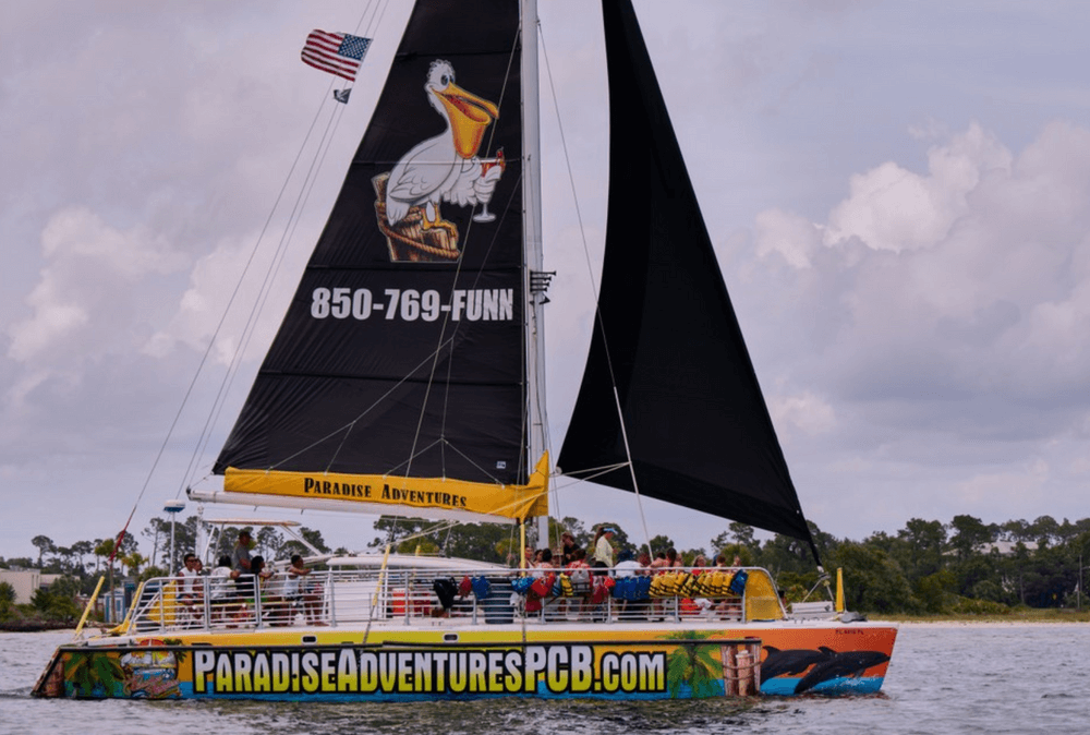 catamaran-card