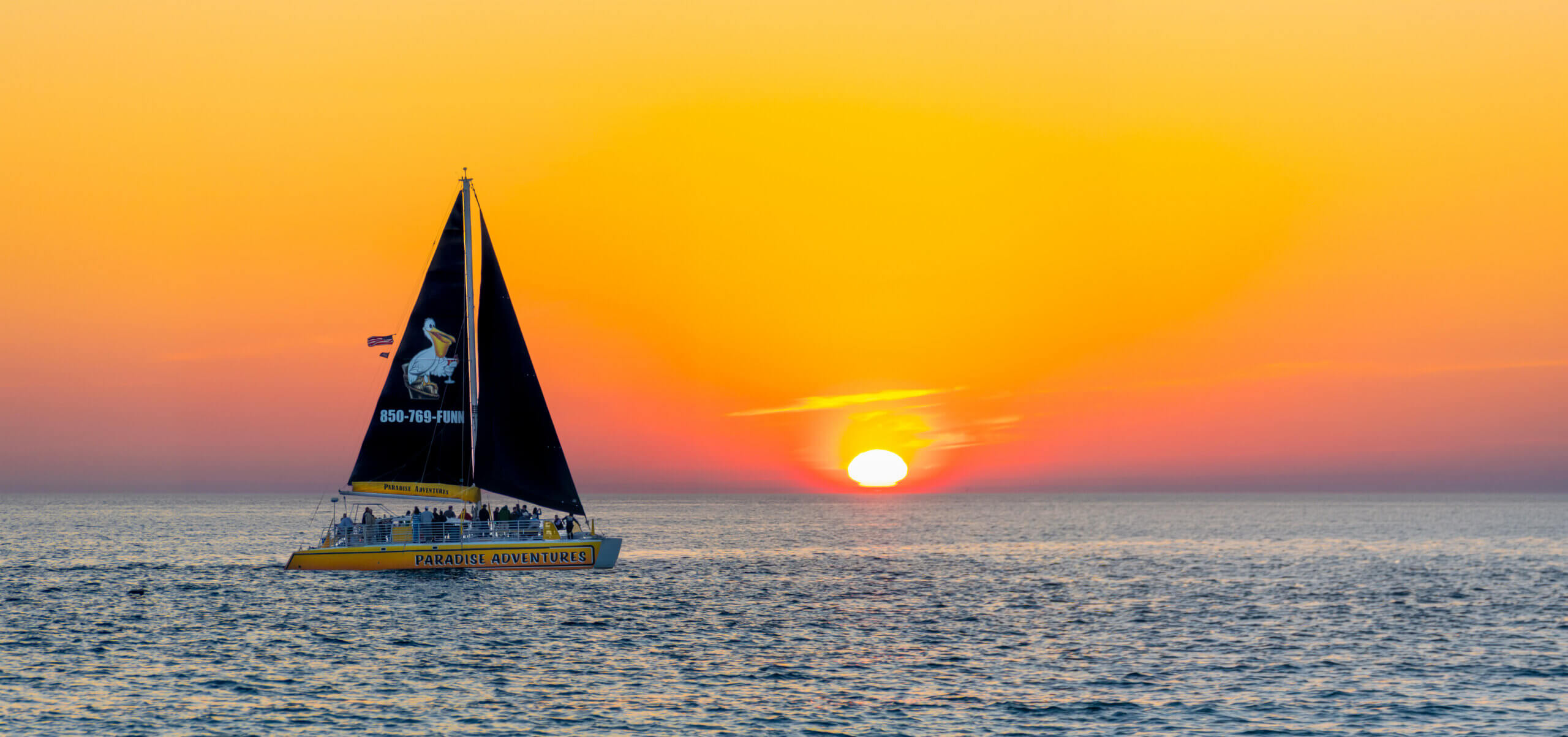 catamaran-card