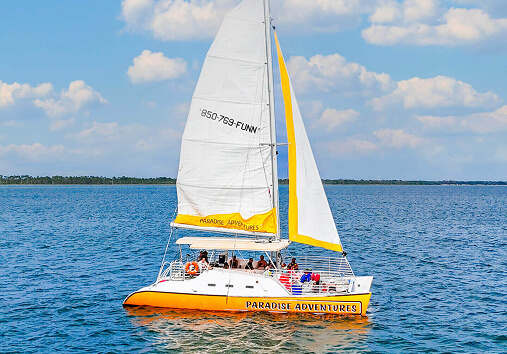 Snorkeling, Dolphins, and Space to Enjoy Both